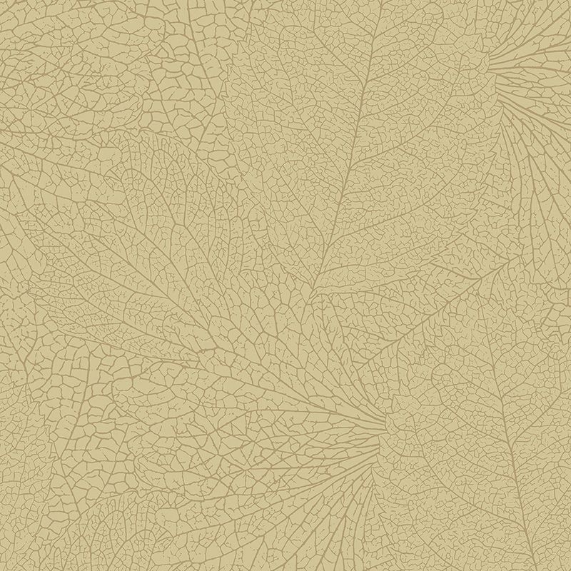 Papel Pintado Eijffinger - 324046 Embrace Eijffinger - Foto 1