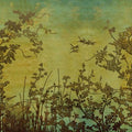 333470 Emerald Eijffinger Papel pintado - Foto 1