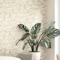 34535 Kumano Marburg Papel pintado - Foto 1