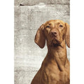364124 Wallpower Junior Eijffinger Papel pintado - Foto 1