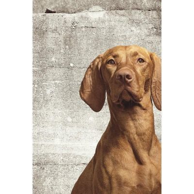 364124 Wallpower Junior Eijffinger Papel pintado - Foto 1