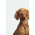 364125 Wallpower Junior Eijffinger Papel pintado - Foto 1