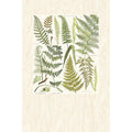 Papel Pintado Eijffinger - 366102 Geonature Eijffinger - Foto 1