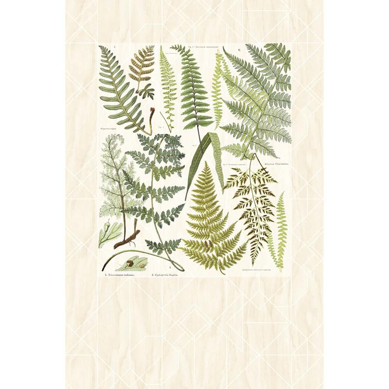 Papel Pintado Eijffinger - 366102 Geonature Eijffinger - Foto 1