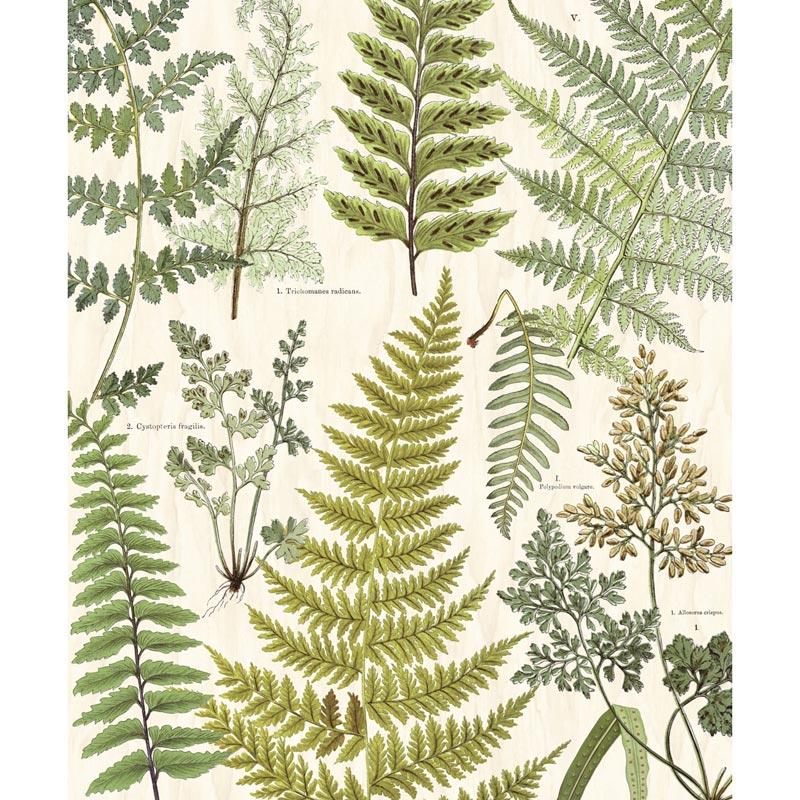 Papel Pintado Eijffinger - 366104 Geonature Eijffinger - Foto 1