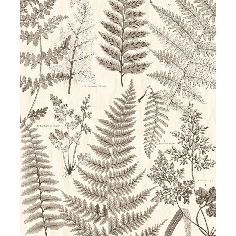 Papel Pintado Eijffinger - 366105 Geonature Eijffinger - Foto 1