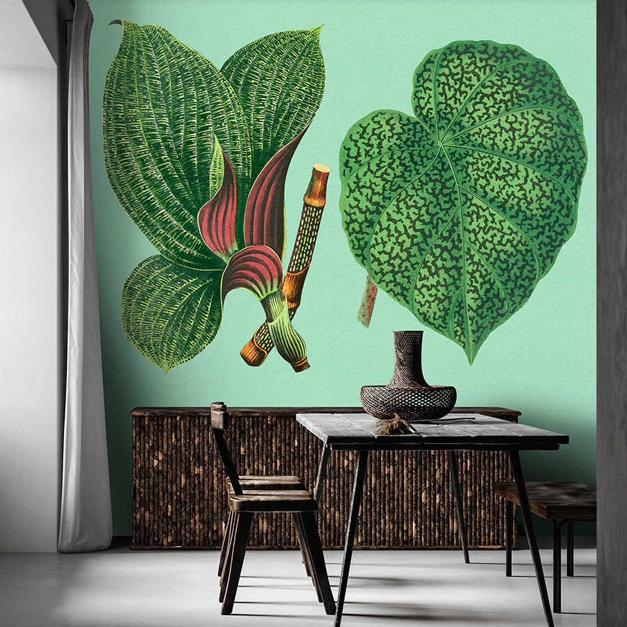 Fotomural Walls by Patel - Leaf Garden 2 - leaves photo wallpaper green with tropical plants