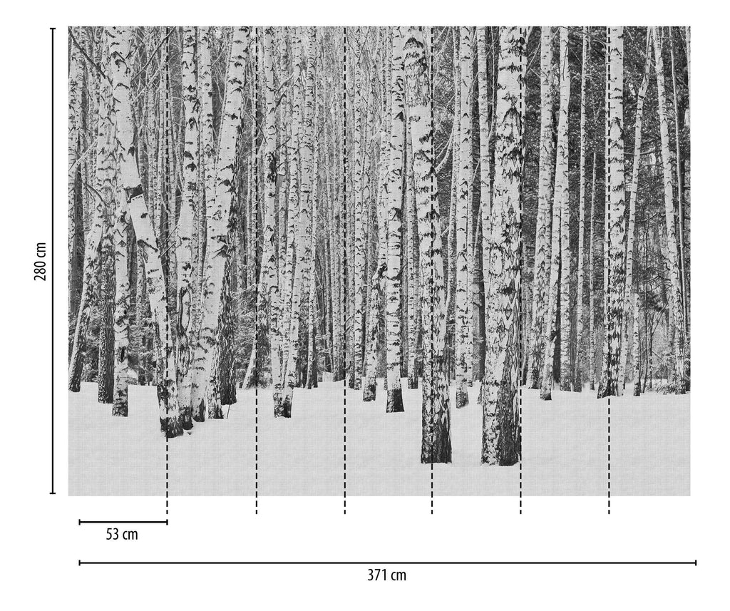 Hochwertige Fototapete Schwarz Natur