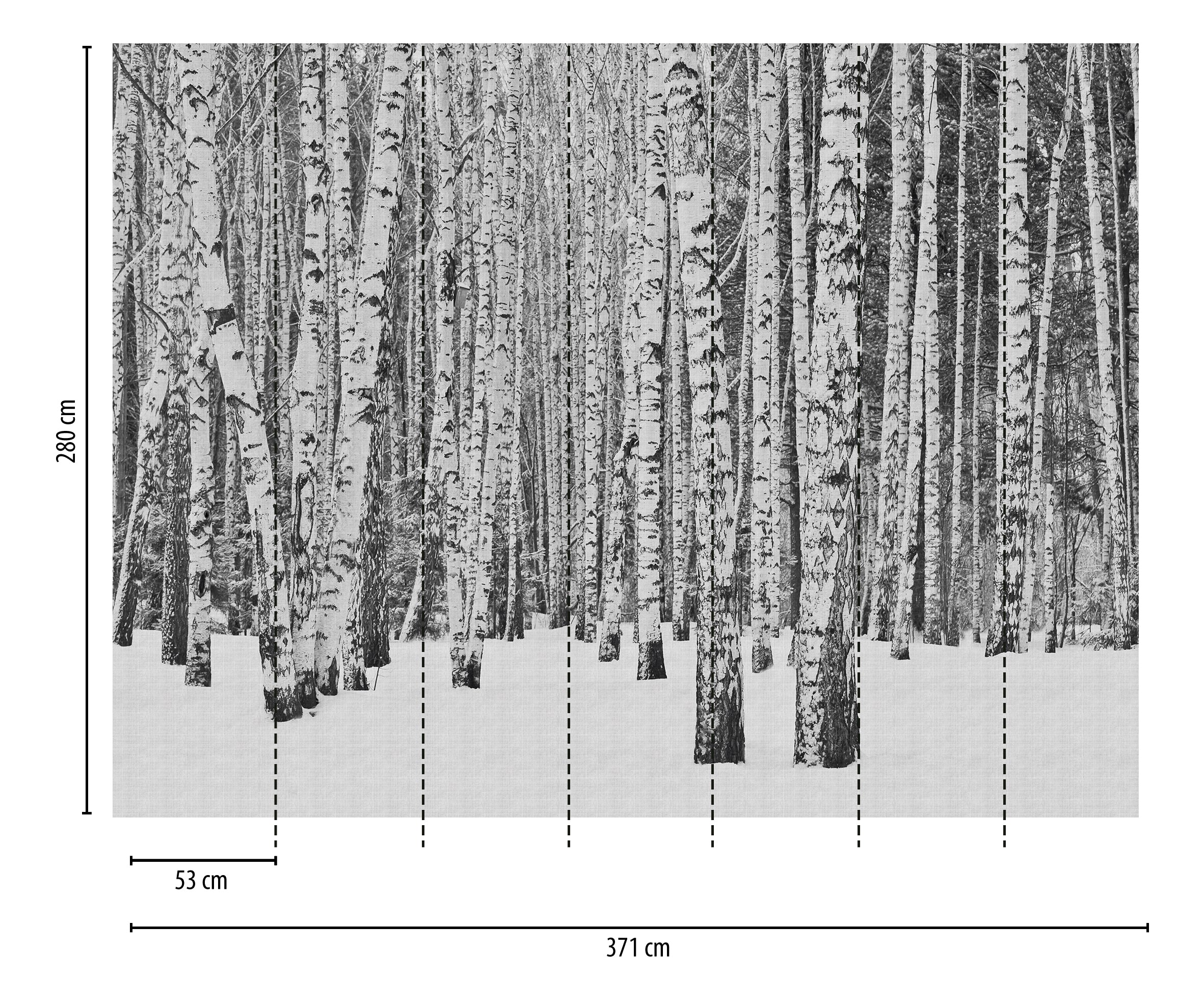 Hochwertige Fototapete Schwarz Natur
