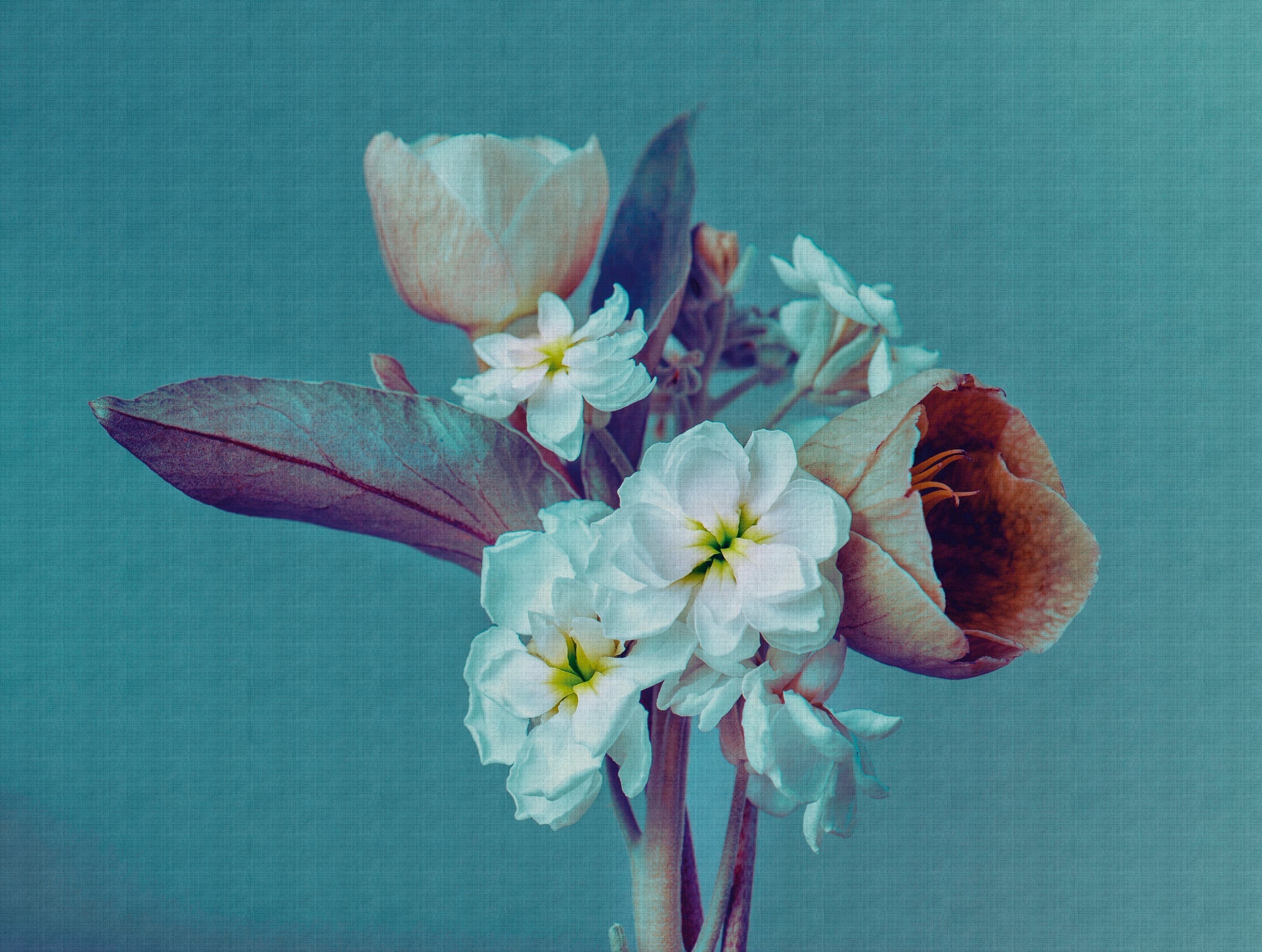 Hochwertige Fototapete Blau Floral