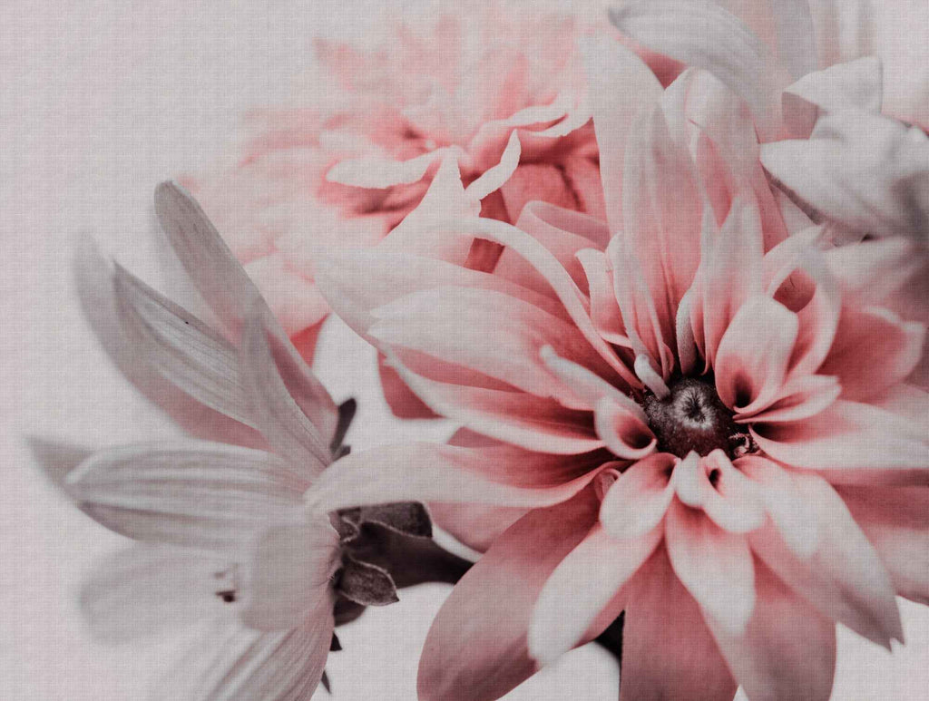 Hochwertige Fototapete Rosa Floral