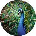 Fotomural Photo wallpaper round peacock - green, blue, yellow - DD Motive 2