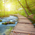 Fotomural XXL 3 - Boardwalk