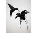 Fotomural DD Motive 2 - Hummingbird
