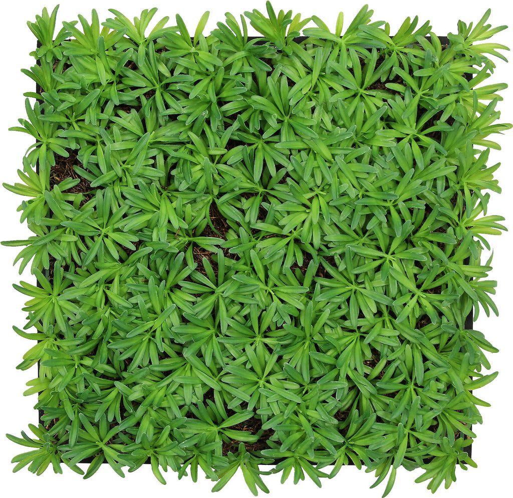 Panel Flora de Diseno Cascade Mixed Flora - Modular Wall - Foto 13