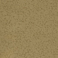 392551 Carmen Eijffinger Papel pintado - Foto 1