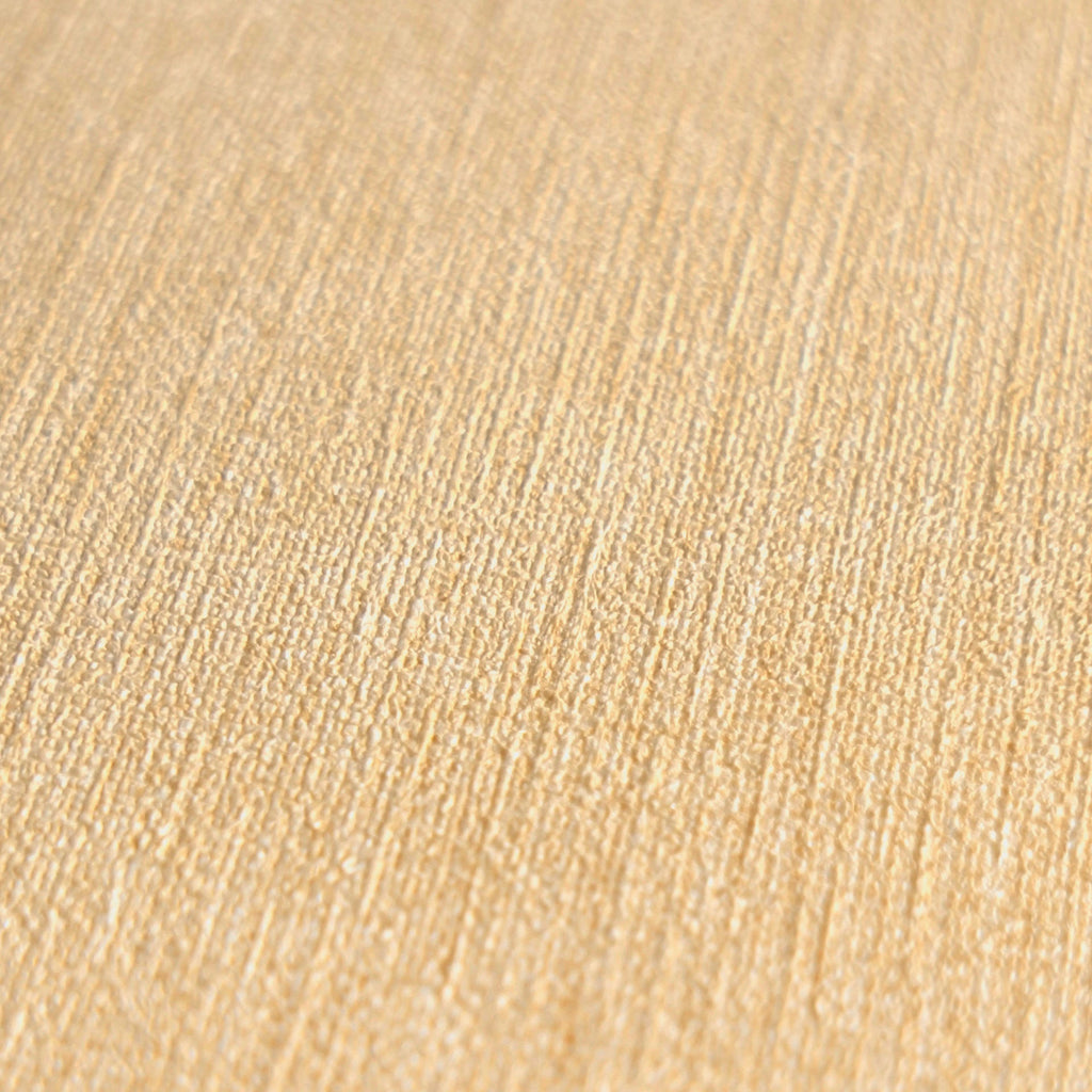 Hochwertige Vliestapete Beige Unitapete