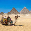 Fotomural XXL 3 - Pyramidengizeh