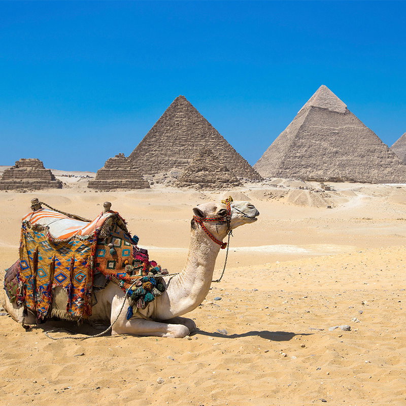 Fotomural XXL 3 - Pyramidengizeh