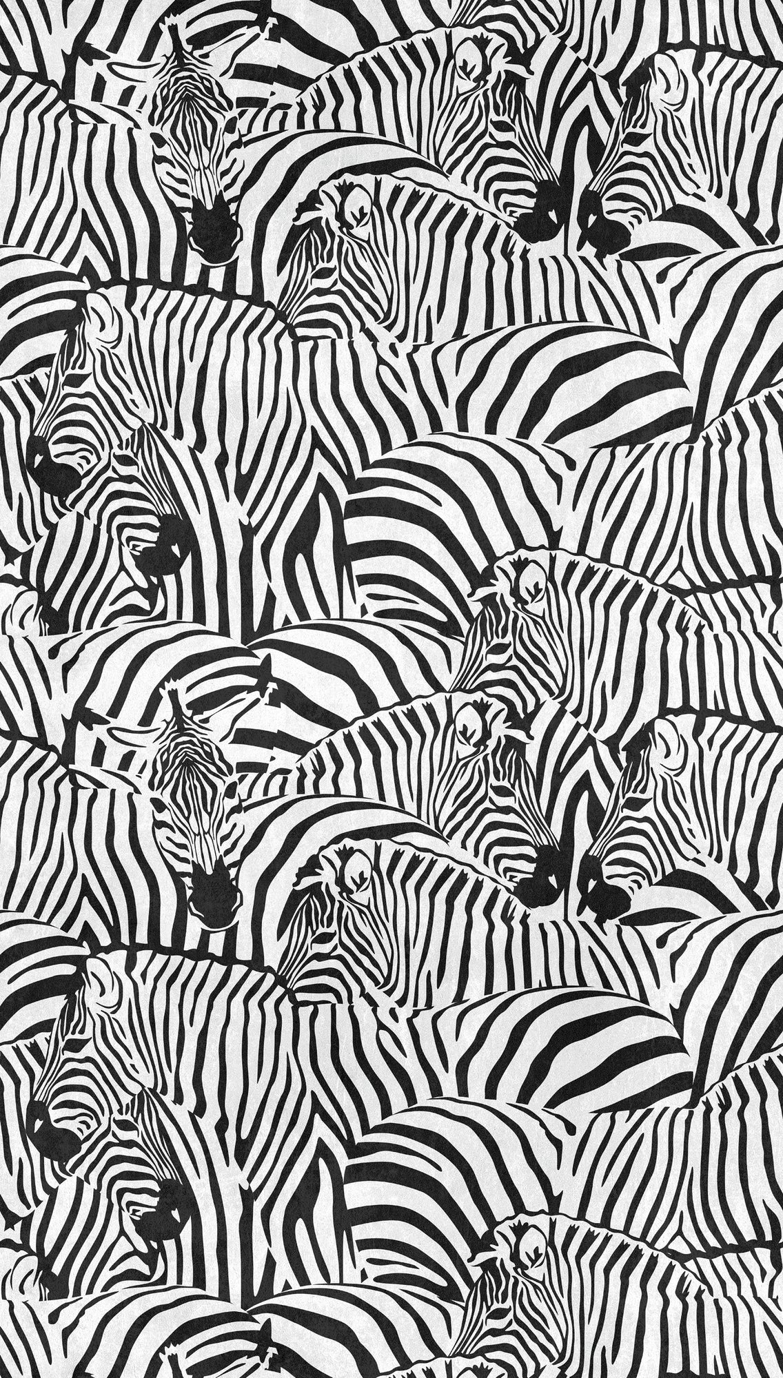 Hochwertige Fototapete Schwarz Tiere