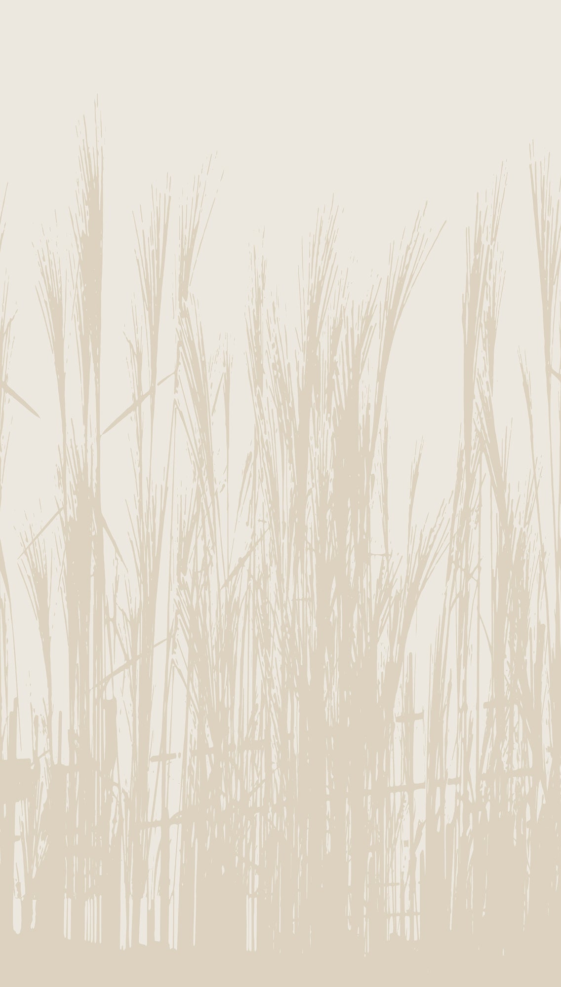 Hochwertige Fototapete Beige Natur