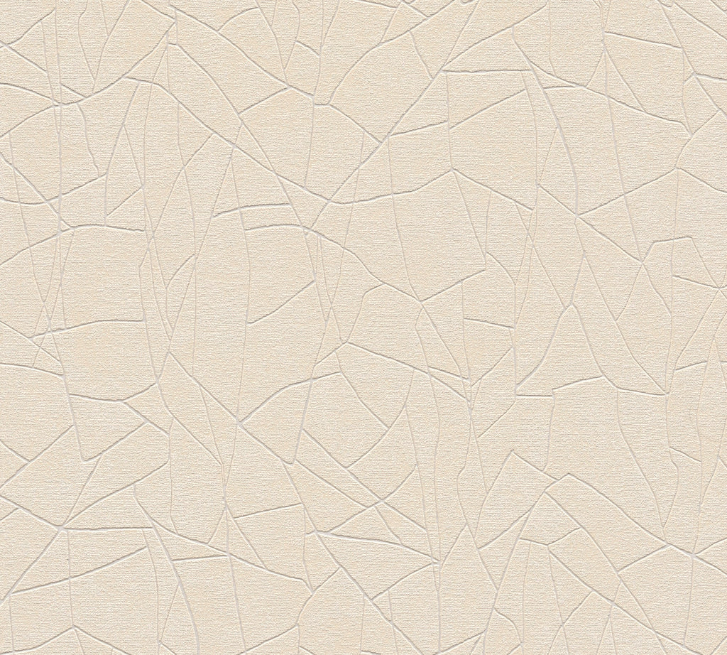 Hochwertige Vliestapete Beige Grafik