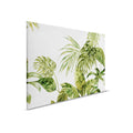 Lienzo Tropical Acuarela Hojas de Monstera