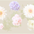 Fotomural Flowers mural pastel colour & XXL flowers - AP Digital 3