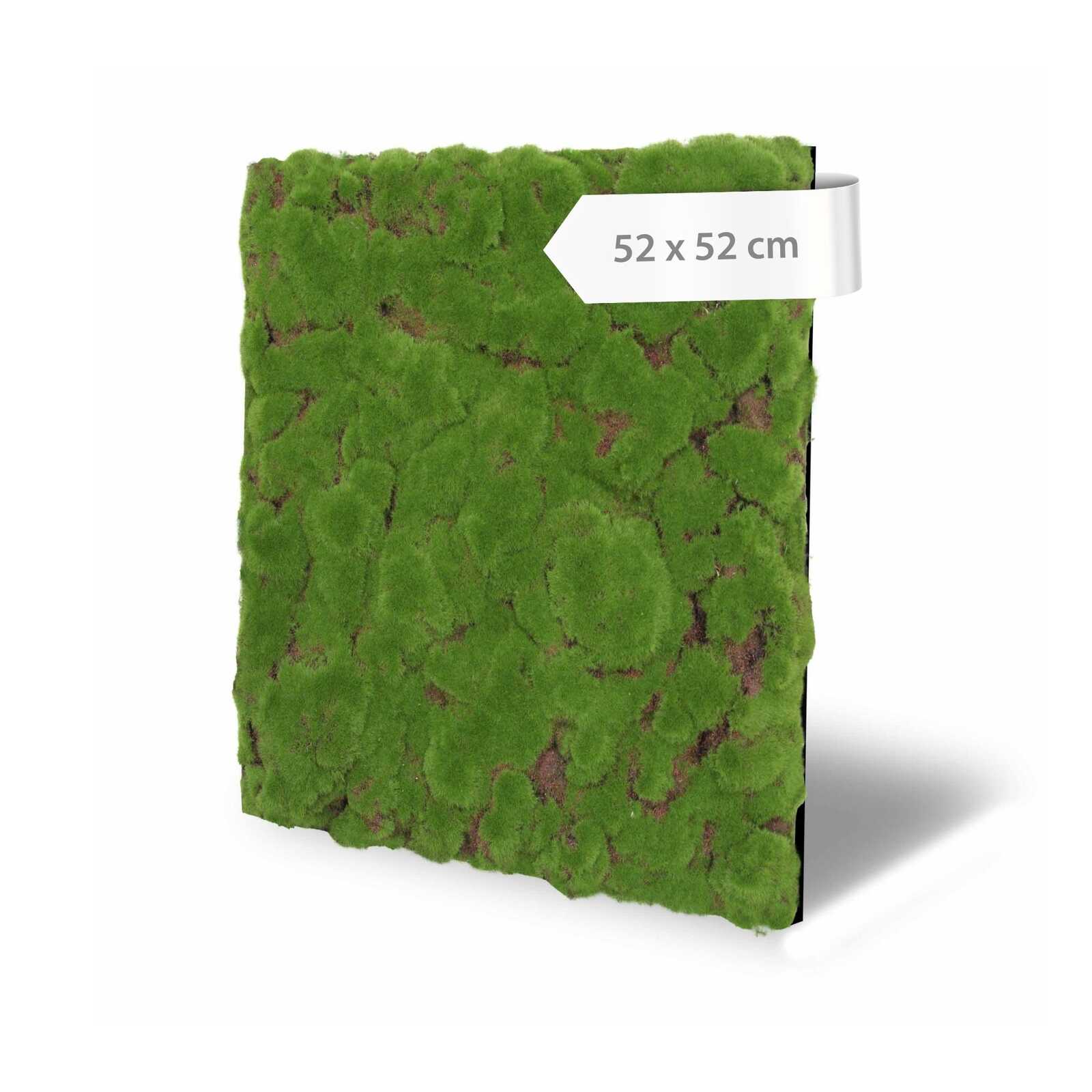 Panel de Musgo de Diseno Forest Green Bulk - Modular Wall - Foto 6
