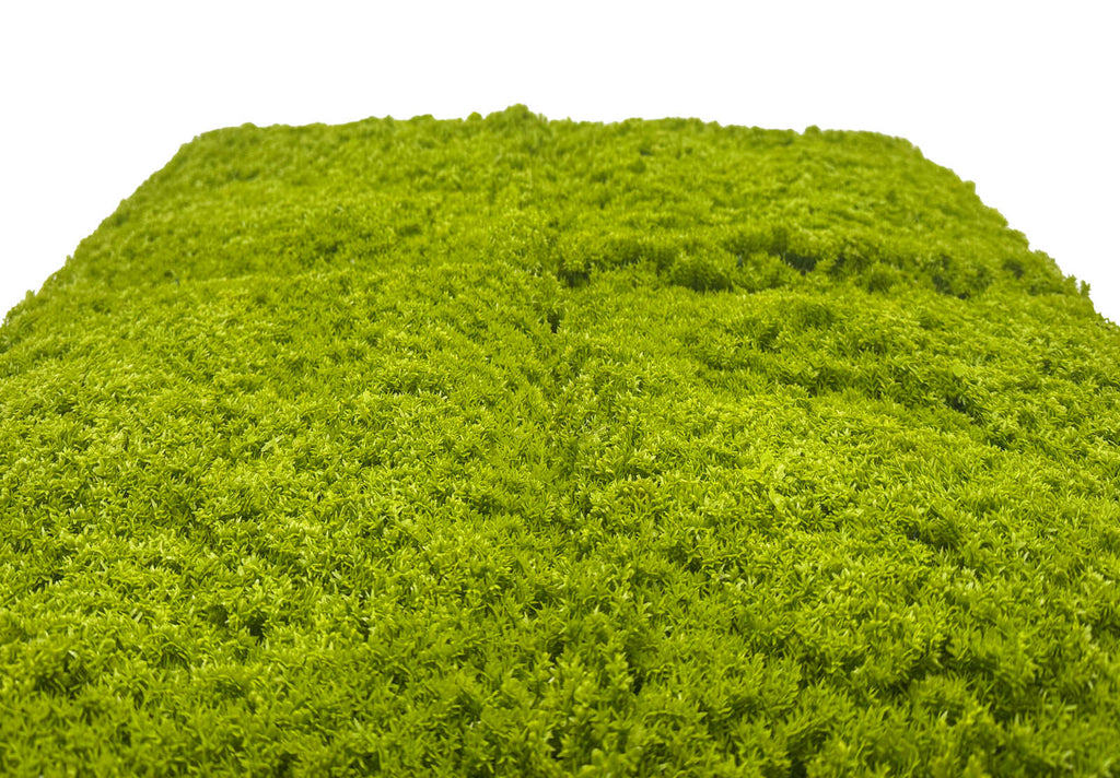 Panel Modular Wall - Lime Green 52 x 52 x 2.2 cm (13669-6) - Imagen 4