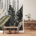 Fotomural AP Contract - Banana Plant