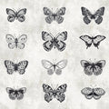 Fotomural Walls by Patel - Butterfly mural black and white drawings