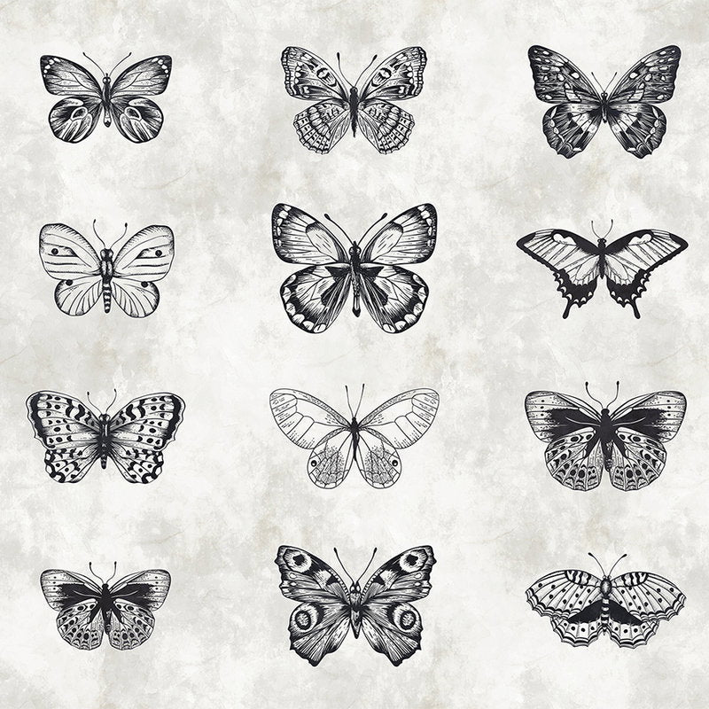 Fotomural Walls by Patel - Butterfly mural black and white drawings