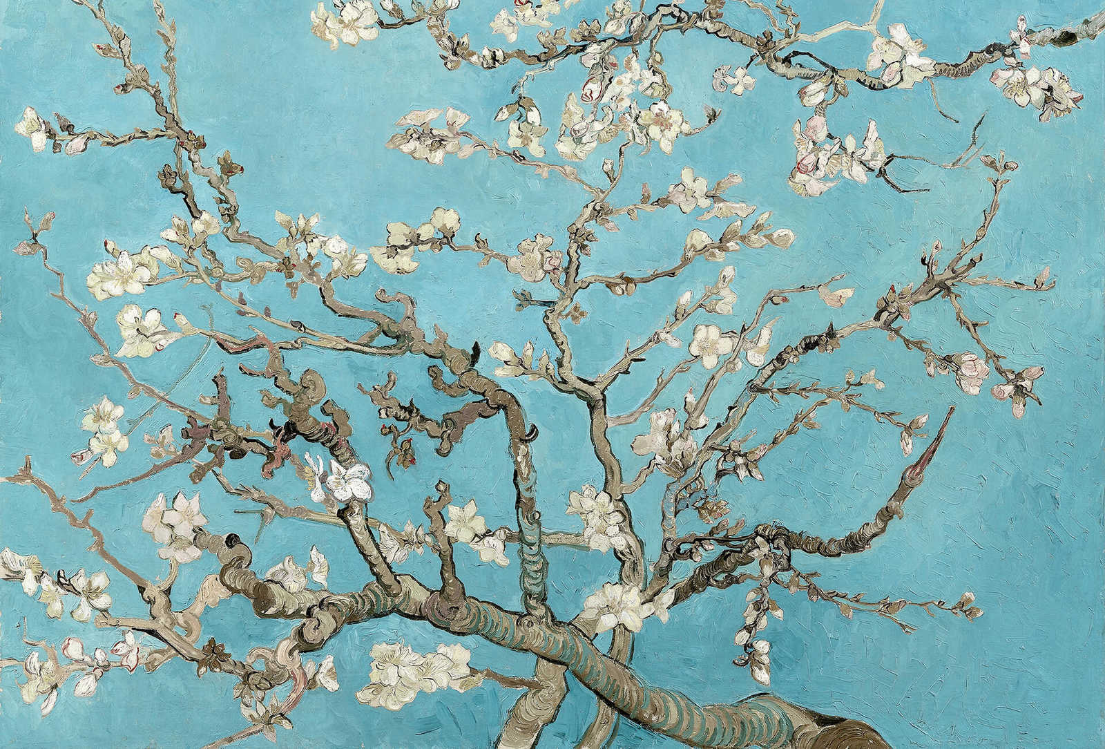 Fotomural Photo wallpaper almond blossoms - blue, brown, white - DD Motive 2