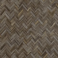 410358 Beachhouse Rasch