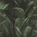 416237 Back to Nature Rasch