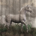 Fotomural Walls by Patel - Fantasy 3 - Unicorn Wallpaper with Wooden Board Optics - Beige, Brown