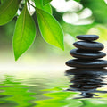 Fotomural Panel XXL 5 - Spa mural pond with leaves and black stones on premium smooth fleece