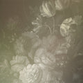 Fotomural Walls by Patel - Dutch pastel 4 - Photo wallpaper artful bouquet Dutch style - Taupe