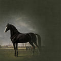Fotomural Walls by Patel - Horses mural classic painting style - black, white