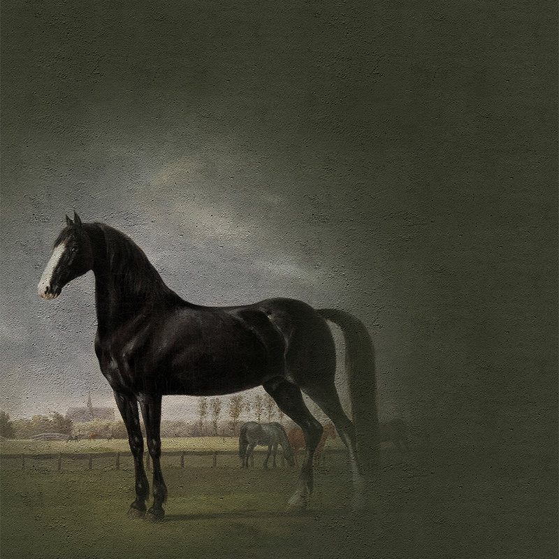 Fotomural Walls by Patel - Horses mural classic painting style - black, white
