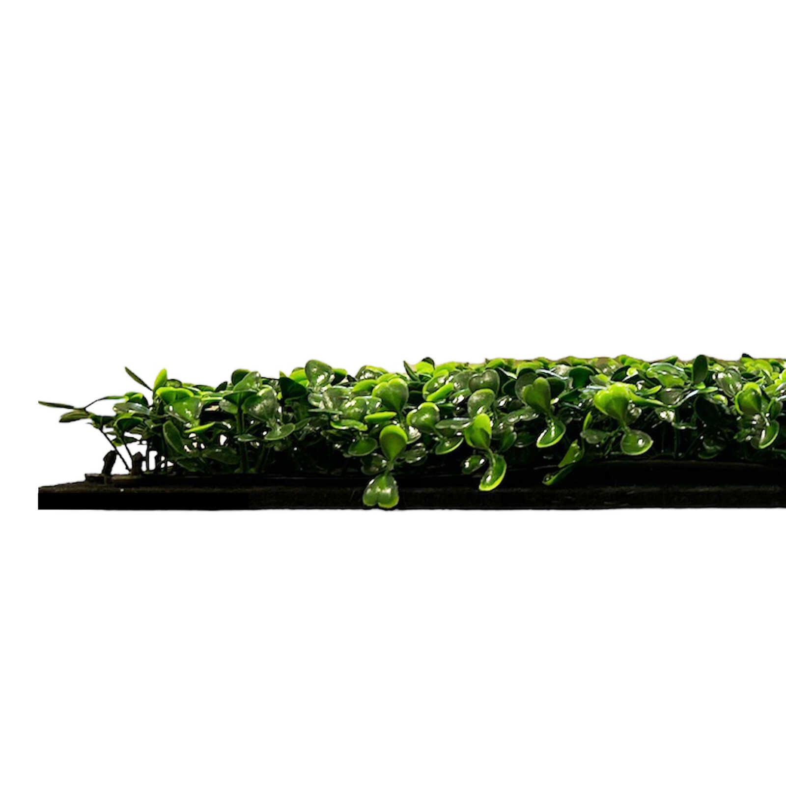 Panel Flora de Diseno Dark Green Design Buxus - Modular Wall - Foto 5