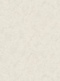 Fotomural Classic plaster look wallpaper light grey with trowel plaster pattern - AP Digital 3
