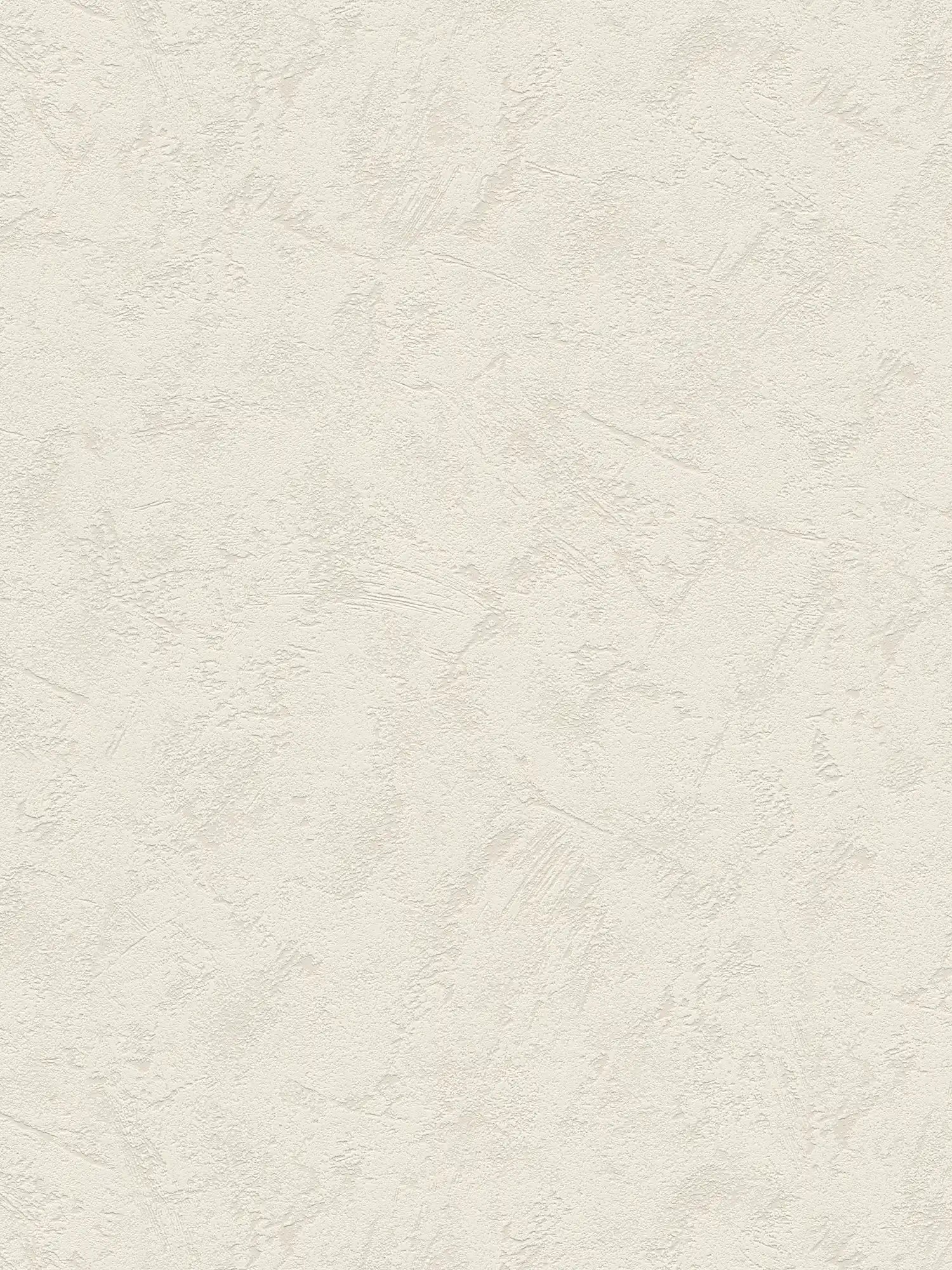 Fotomural Classic plaster look wallpaper light grey with trowel plaster pattern - AP Digital 3
