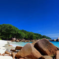 Fotomural Beach mural rocks, sandy beach & palm trees by the sea - AP Digital 3