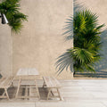 Fotomural Walls by Patel - Tunis 1 - mural palm trees in the courtyard with plaster walls