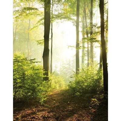 47221 Smart Art Easy Marburg Papel pintado - Foto 1