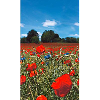 47273 Smart Art Easy Marburg Papel pintado - Foto 1