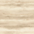 481679 Florentine IV Rasch