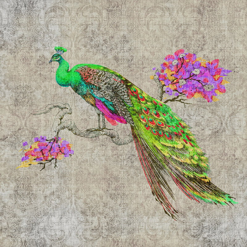Fotomural Walls by Patel - Peacock 1 - Nature linen structure wallpaper with peacock in neon colours - Green, Pink